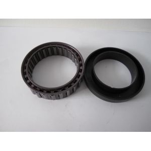 one way sprag cage Freewheels BWX1310172 assembly with sprags and double cages