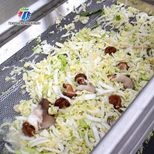 7kw Double Vortex Vegetable And Fruit Cleaning Machine