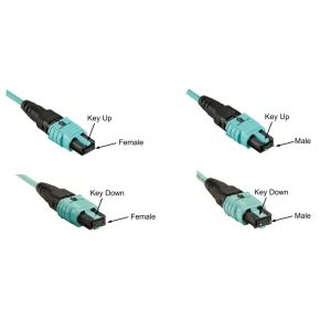 OM3/OM4 MPO Connector Patch Cord 12 Fiber MPO Trunk Cable 8/12/24F MTP MPO Cable