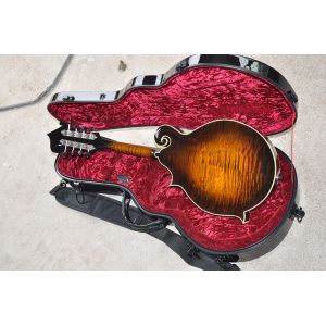 Handmade custom advanced 8 strings QT-F5 mandolin electric guitar with ebony