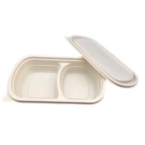 Camping And School 800ML Cornstarch Compostable Two Compartments Lunch Boxes