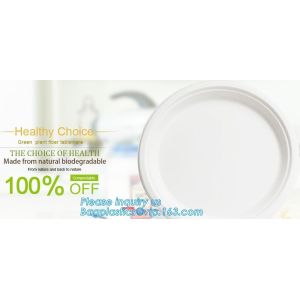 disposable takeaway bento to go box compostable food packaging sugarcane bagasse