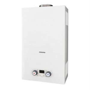20L Flue Type Tankless Gas Water Heater LPG NG Wall Mounted