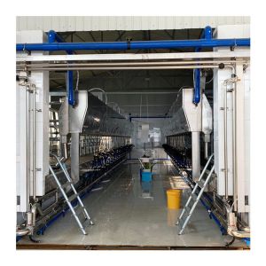 Automatic Parallel Cow Herringbone Milking Parlor Quick Release