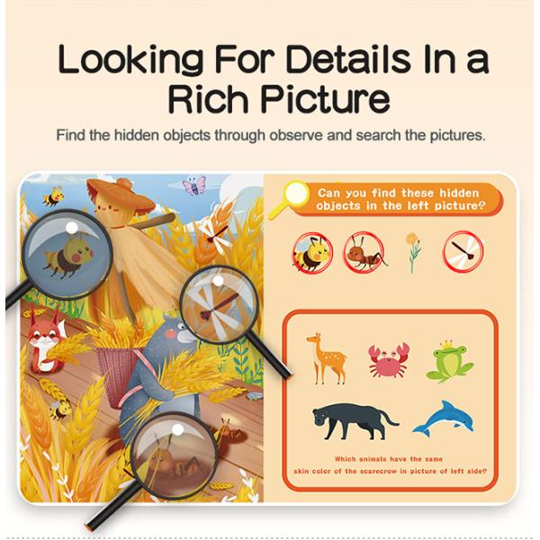 Concentration Improve Hidden Object Books , Hidden Picture Books For Preschoolers
