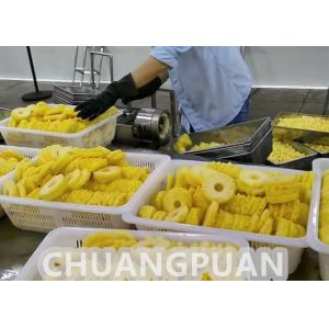 2-10T/H Pineapple Processing Line Stainless Steel Fully Automatic