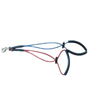 Adjustable No-Sit Heavy Duty Dog Tie Out Cable and Grooming Noose for Secure