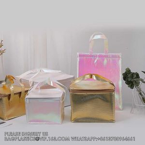 Insulated Reusable Grocery Picnic Zipper Cooler Bag Keep Cool Popsicle Packaging