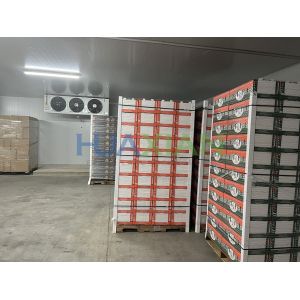 Medium Temperature Cold Storage Room 100mm Panel With Chiller Unit