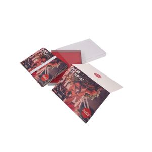 Decorative Patterned Cardboard Boxes With Plastic Lid Eco - Friendly Design