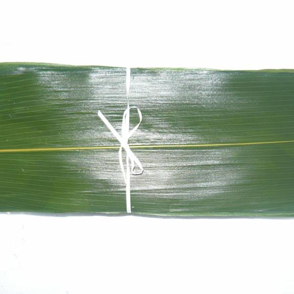 Fresh Bamboo Leaves 24 Month Shelf Life Guaranteed