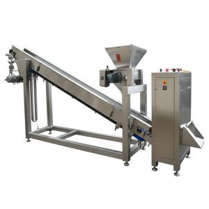Automatic Seasoning Machine with Precision Coating High Capacity and Multi