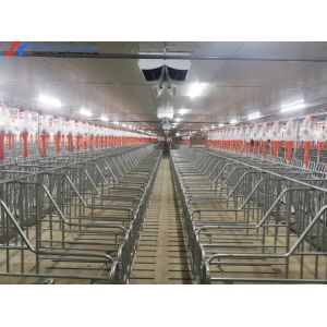 304 Stainless Steel Farrowing Crates , Farrowing Pens For Pigs