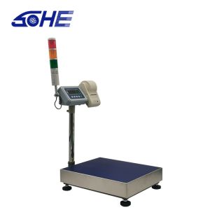 OBM Supported Explosion Proof Electronic Alarm Printing Bench Scale with LED LCD