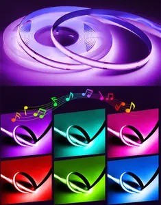 Product Weight 0.3kg 5m 10m Smart Strip Light with Dream Colour RGB COB Chip LED