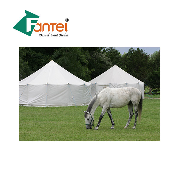 Quality 650gsm Polyester Tarp Fabric Flame Retardant waterproof Customized wholesale