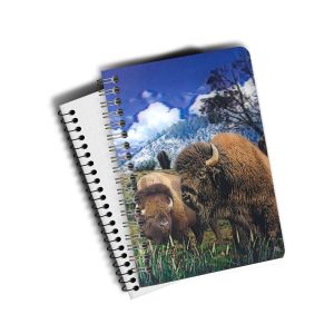 3D PET/PP/PVC Notebooks 3d Lenticular Cover A6 Jotter For Gift / Premium