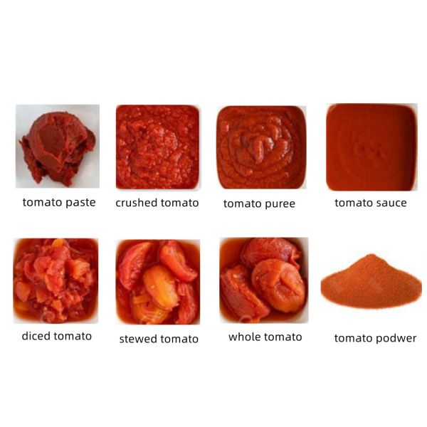 Tomato Paste Production Line|Energy-Saving 1-10T/H Aseptic Bag Package Tomato Paste Processing Machine