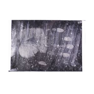 C185 Transparent full palm print hinge lifter