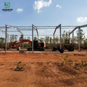 Customized Prefabricated Steel Construction Structure Pig Poultry Farm Broiler