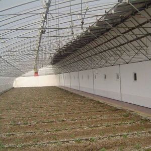 2000.000kg Tomato and Cucumber Cultivation Sunlight Greenhouse Solution with