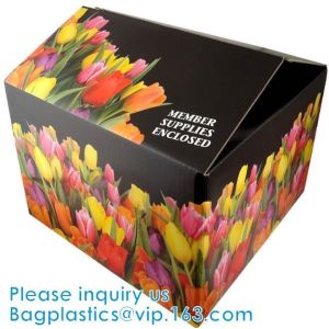 Corrugated Fruit Packing Box, Gloss Lamination, Offset Printing, Foldable Box,