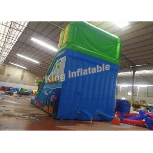 Eye Catching Green Double Lane Inflatable Water Slide With Swimming Pool