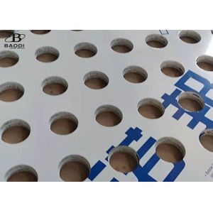 1m X 2m Filter Screen Punching Plate Perforated Metal Mesh