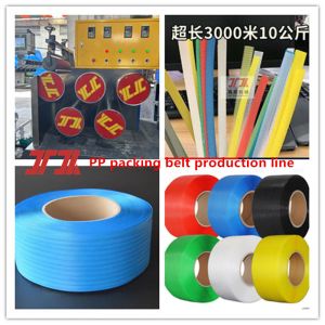 Plastic Machinery PP Polypropylene Strapping Equipment With 100-600KG/24