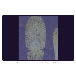 C205 BTDM-Ⅰ Vacuum coating fingerprint developing instrument