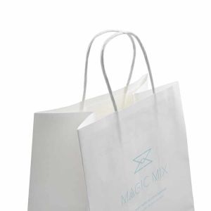 Eco Friendly Printed Paper Bags Portable With Handle Oem Odm Available