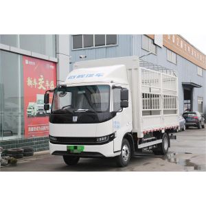 Xingzhi H8E Geely Electric Truck Electric EV Car With Two Wheel Drive