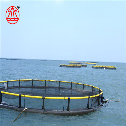 Quality Recyclable Floating Fish Cage Environmentally Friendly Pontoon Easy Installing wholesale