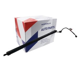 Womala Tailgate Power Lift Motor 31690929 for S60 V60 XC60 Models 2015 2023