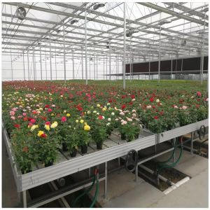 Ebb Flow Nursery Movable Abs Flood Rolling Bench Grow Table