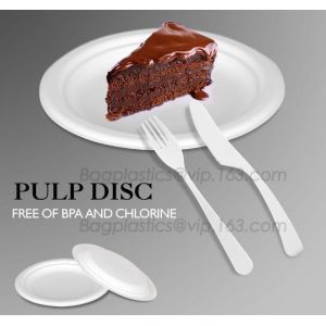 School lunch box, Fresh Preserved Compartment PLA Lunch Box, Disposable clear