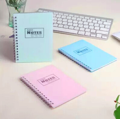 Manufacture Cheap School Spiral Notebook Wholesale Custom Kraft Notebooks Fancy