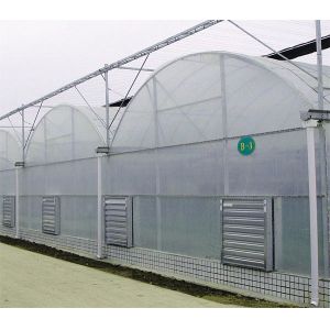 Double Layer Dutch Bucket Commercial Hydroponic Greenhouse For Tomato Planting