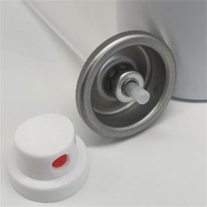 China Dry Shampoo Spray Valve for Cosmetic Aerosol – Hair Styling Valve for Travel and Daily Use on sale