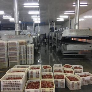 DJL Tunnel Industrial Freezer/Iqf Freezing Continuous Quick Freezer Of Blast