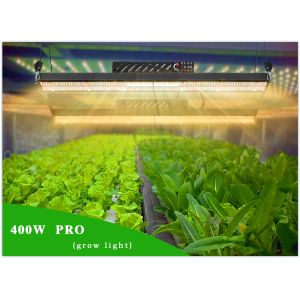 Bavagreen ETL 1040umol/s Lm301h Samsung 730nm 2 single bar 400w grow light uv ir