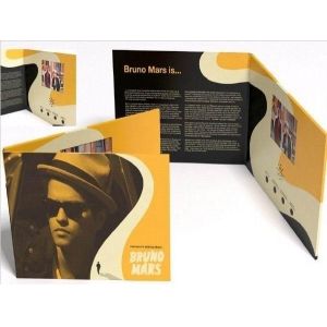 4 Button LCD Digital Video Brochure