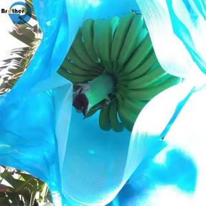 Perforated Polyethylene Plastic Banana Protection Bag Banana Bunch Cover