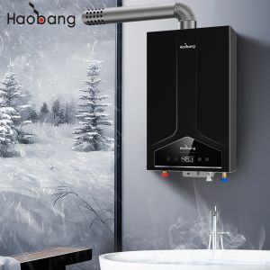 Lower Inlet And Upper Inlet Balanced Flue Water Heater With Stainless Steel Panel Magnetism And Door-to-Door Delivery