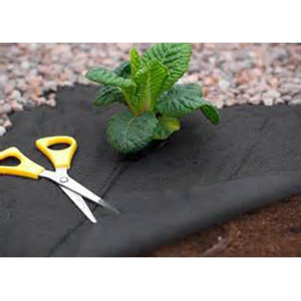 Spunbond Nonwoven Garden Weed Control Fabric GSM Warter Permeable