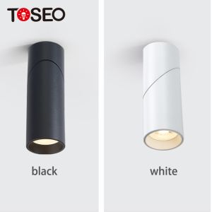 Gu10 Adjustable Aluminium Ceiling Downlight Cylinder Surface Mounted For Hotel