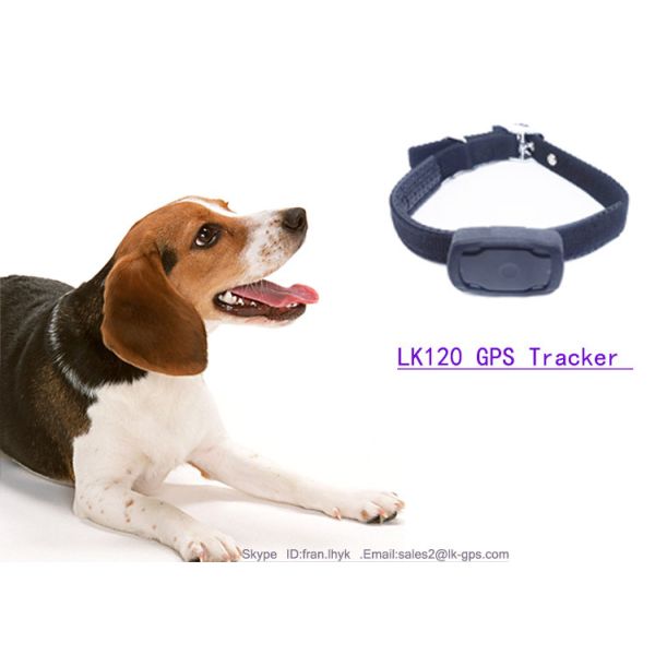 Quality Newest PET Product Vibration Alarm Safety Waterproof Mini Micro Gps Tracker Pets LK120 wholesale