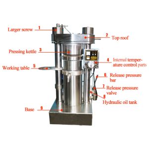 Hydraulic High Oil Yield Corn Oil Press Machine Customized 1 Year Warranty