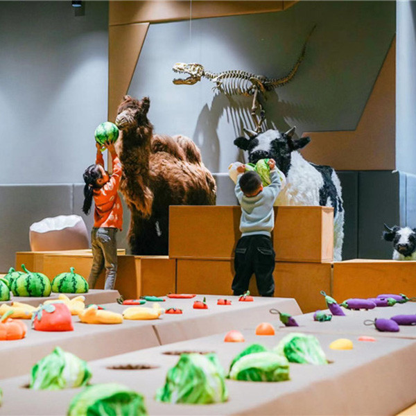 Quality Forest Theme Indoor Playground for Kids with Slides and Ball Pit wholesale