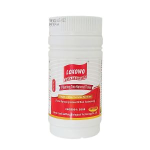 Best Boost Plant Growth Premium Nutrient Solutions Fertilizer